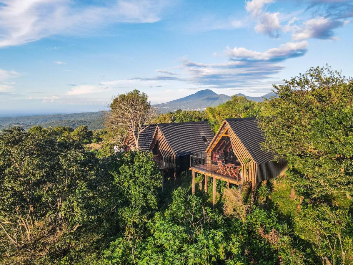 Casa 1800 Los Naranjos Boutique Hotel Zewnętrze zdjęcie